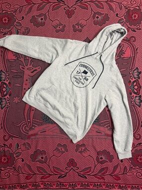 Connecticut Graphic Hooded Sweatshirt - Light Gray